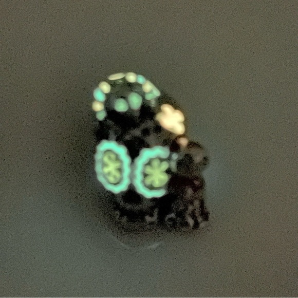 💀 NWOT Coco & Dante Skull Glow-in-the-Dark Charm ✨Halloween - Picture 15 of 15